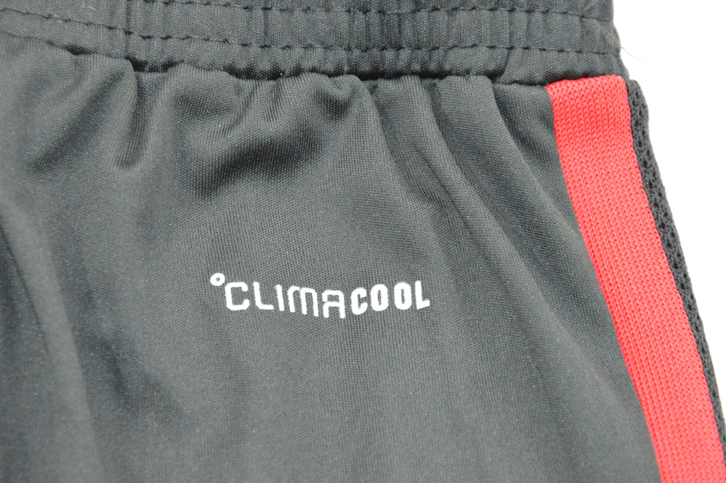 Benfica 2026/27 Training Shorts