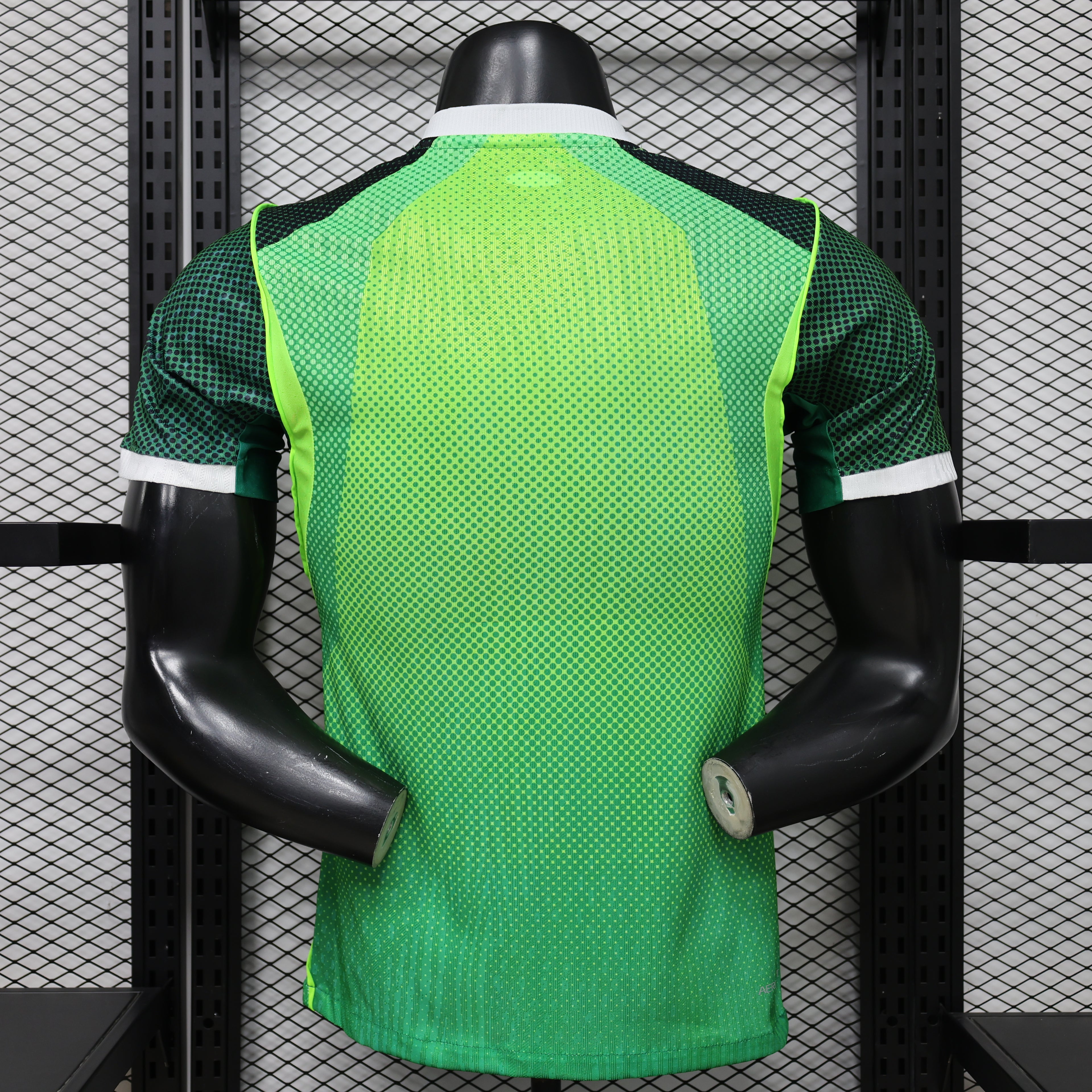 Nigeria 2026 Home - Player Version