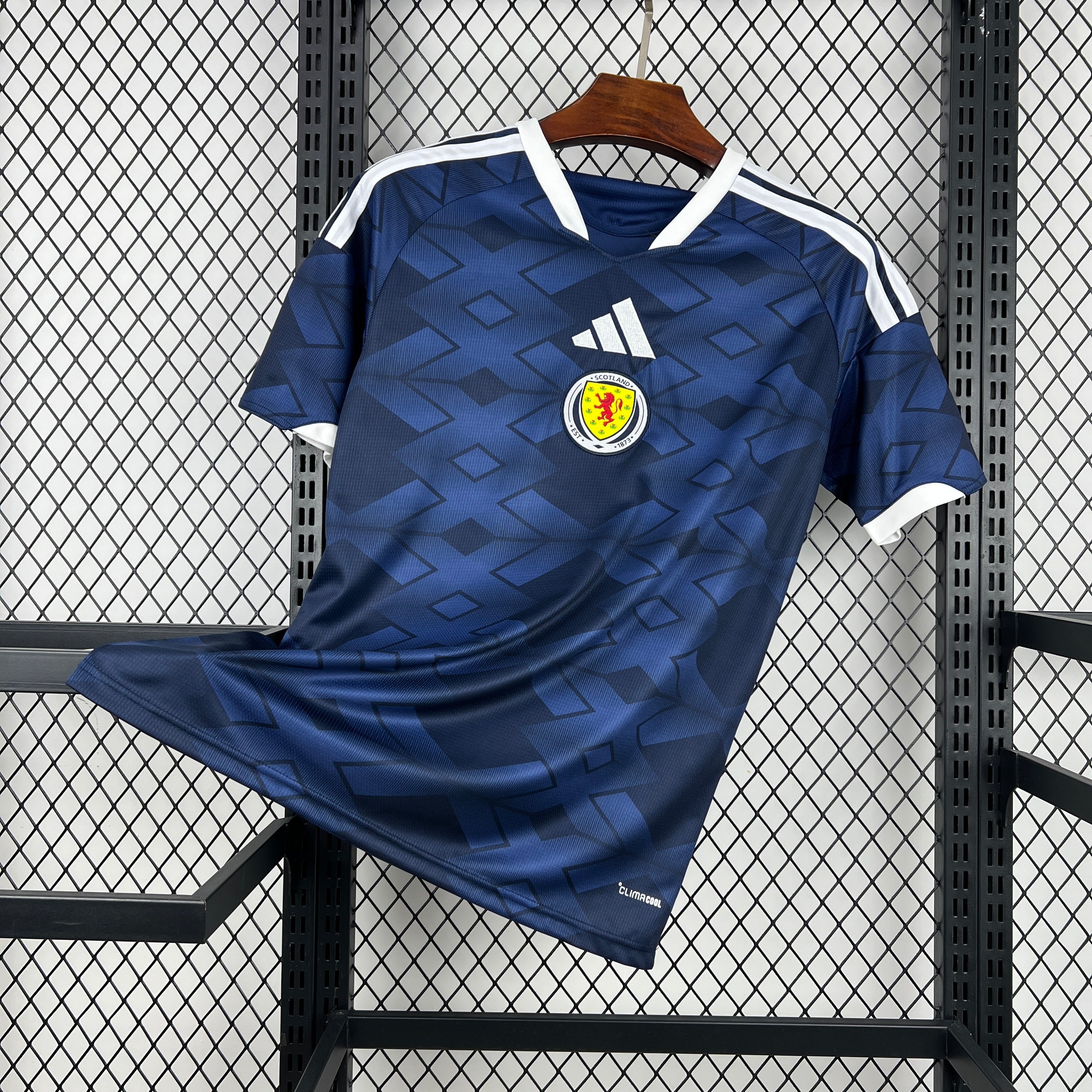 Scotland 2026 Home - Fan Version