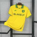 Norwich City 2025/26 Home - Fan Version