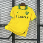 Norwich City 2025/26 Home - Fan Version
