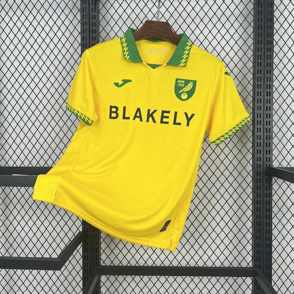 Norwich City 2025/26 Home - Fan Version