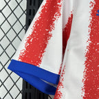 Paraguay 2026 Home - Fan Version