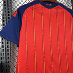 Spain 2026 Home - Fan Version