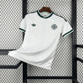 Northern Ireland 2026 Away - Fan Version