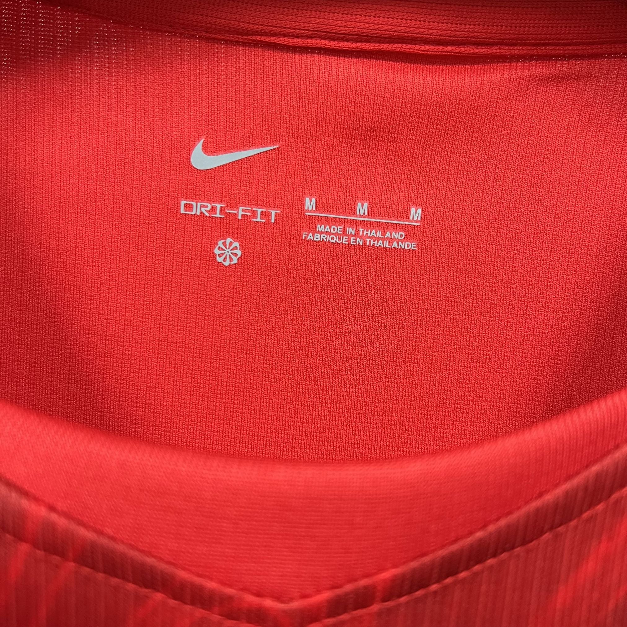 Turkey 2026 Home - Fan Version
