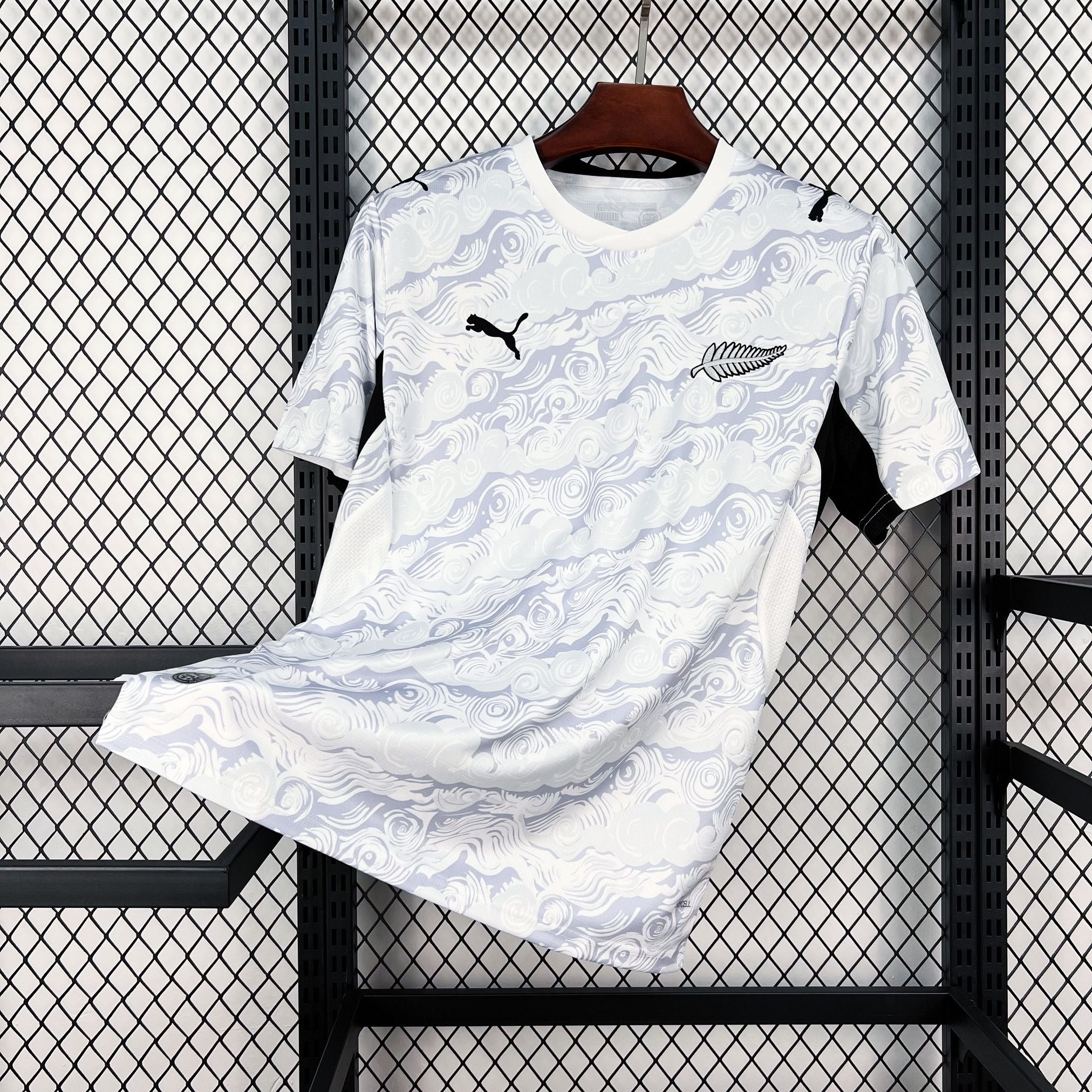 New Zealand 2026 Home - Fan Version