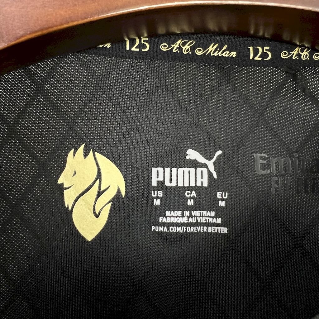 AC Milan 2024/25 125th Anniversary Goalkeeper - Fan Version