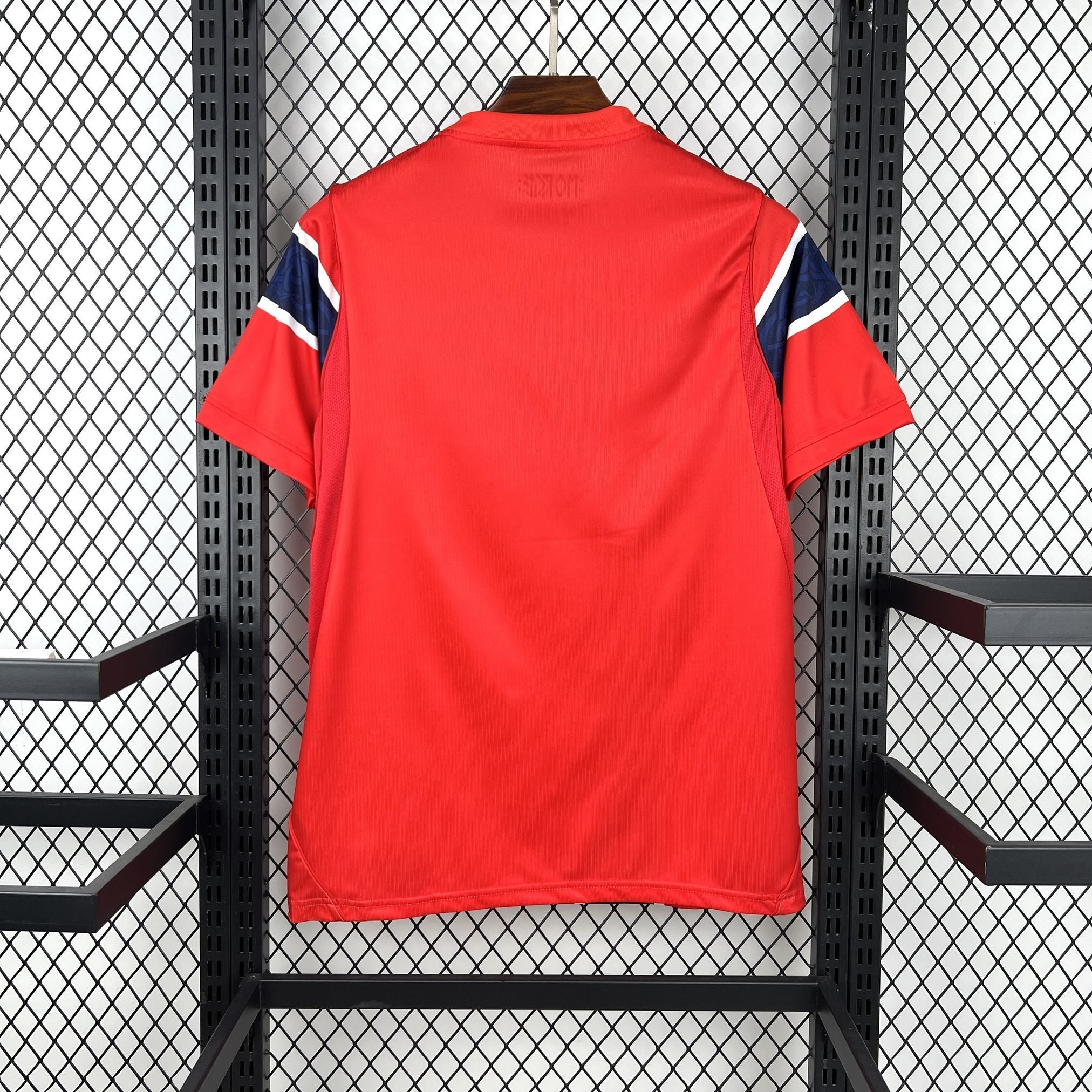 Norway 2026 Home - Fan Version