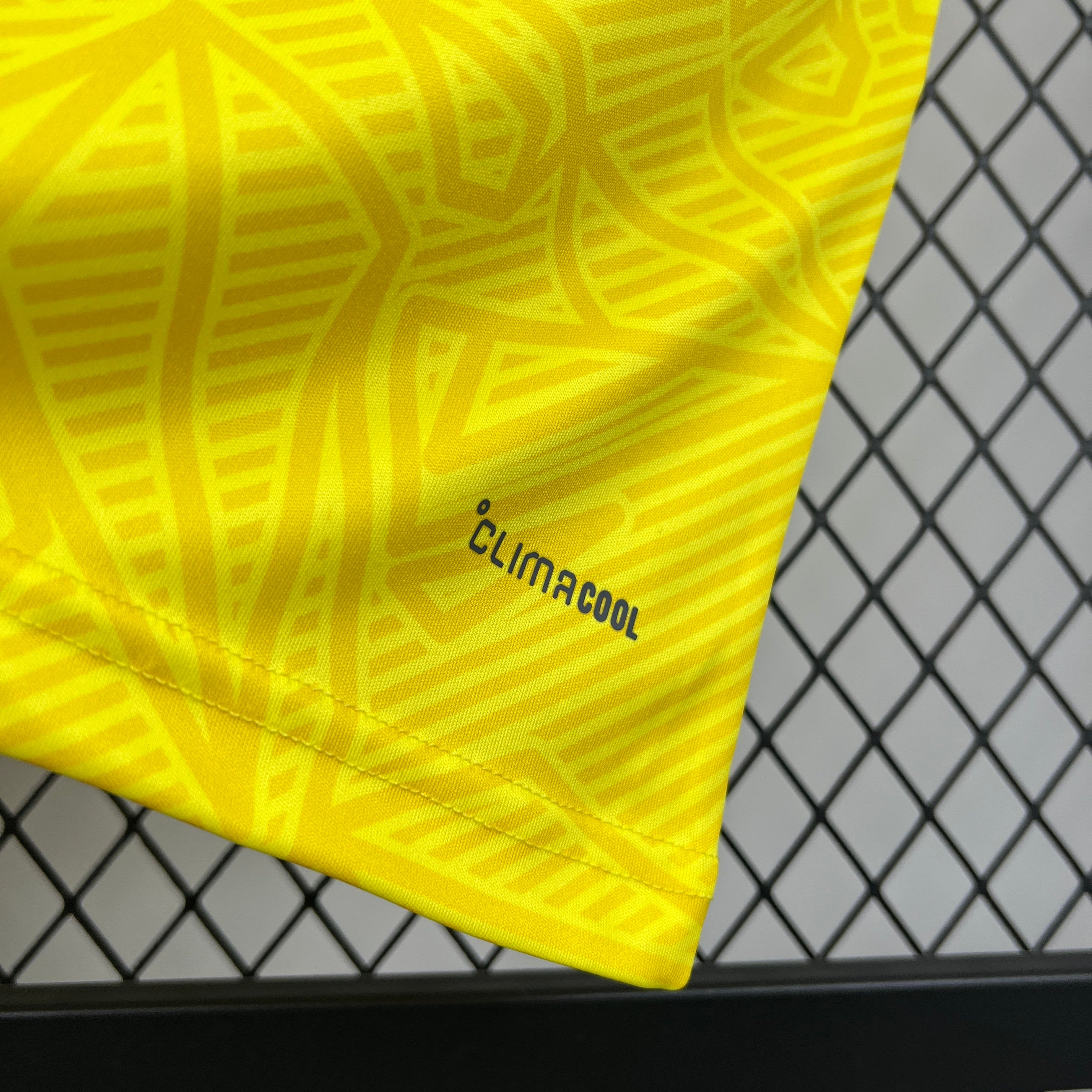 Ukraine 2026 Home - Fan Version