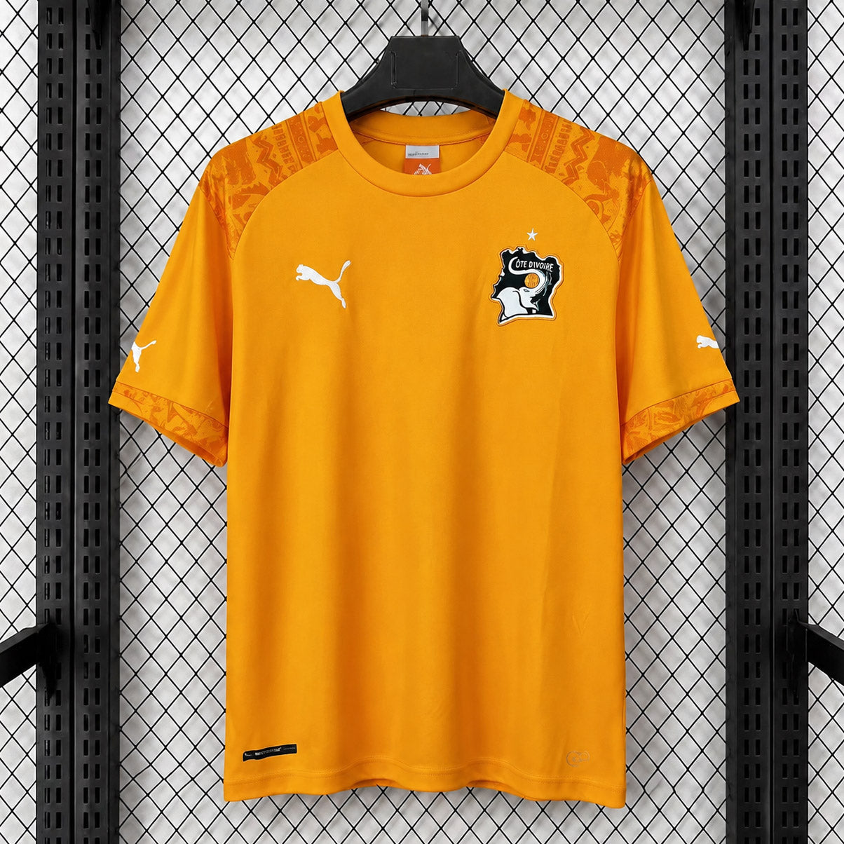 Ivory Coast 2014 Home - Retro
