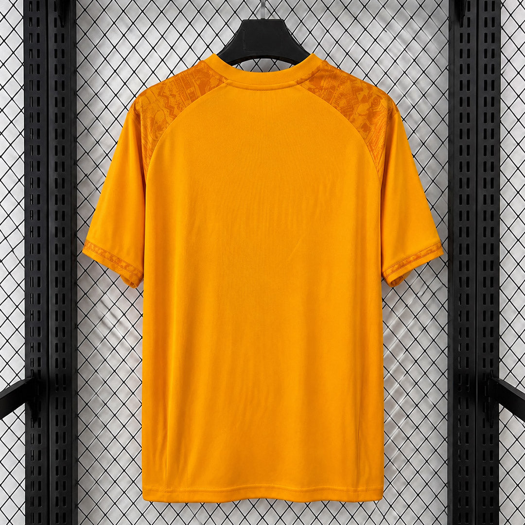 Ivory Coast 2014 Home - Retro