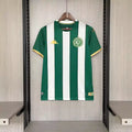 Chapecoense 2026/27 Home - Fan Version