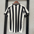 Botafogo 2026 Home - Fan Version