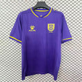 Deportes Concepción 2026 60th Anniversary - Fan Version