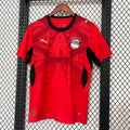 Egypt 2026 Home - Fan Version