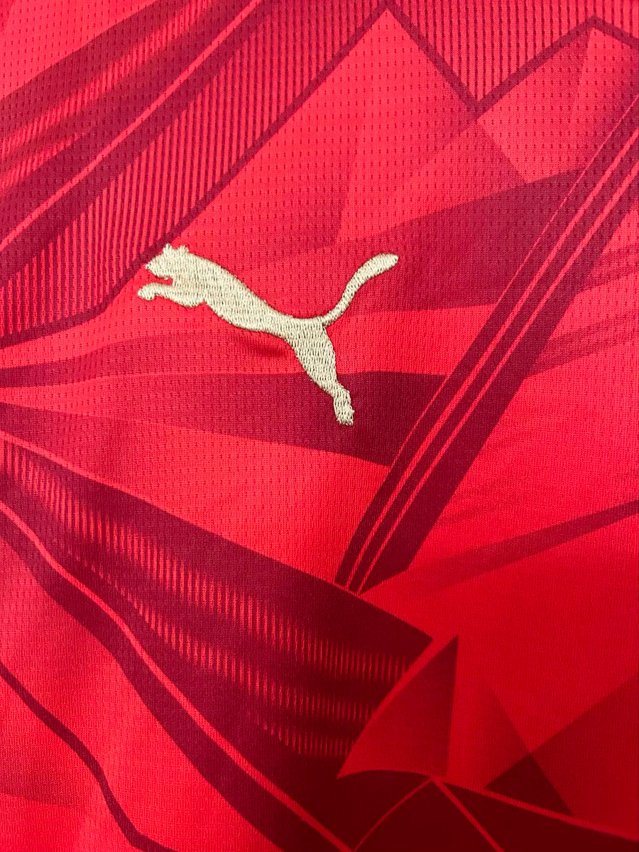 Egypt 2026 Home - Fan Version
