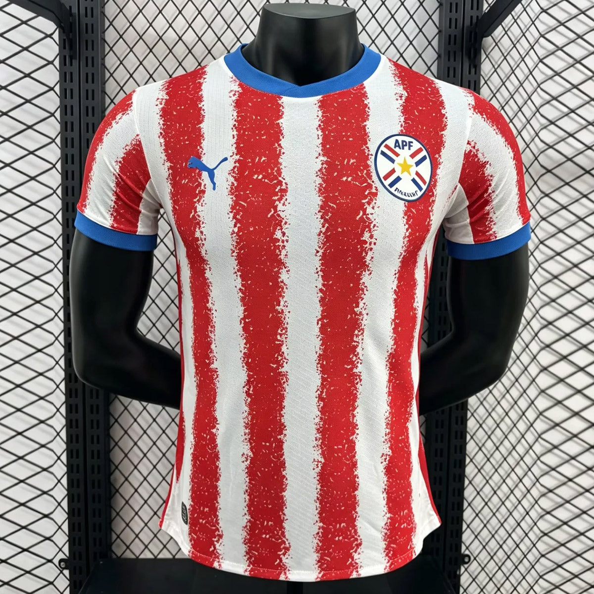 Paraguay 2026 Home - Player Version