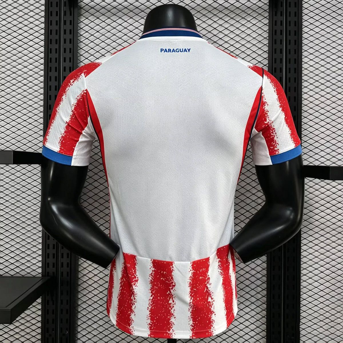 Paraguay 2026 Home - Player Version