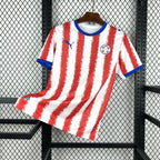 Paraguay 2026 Home - Fan Version