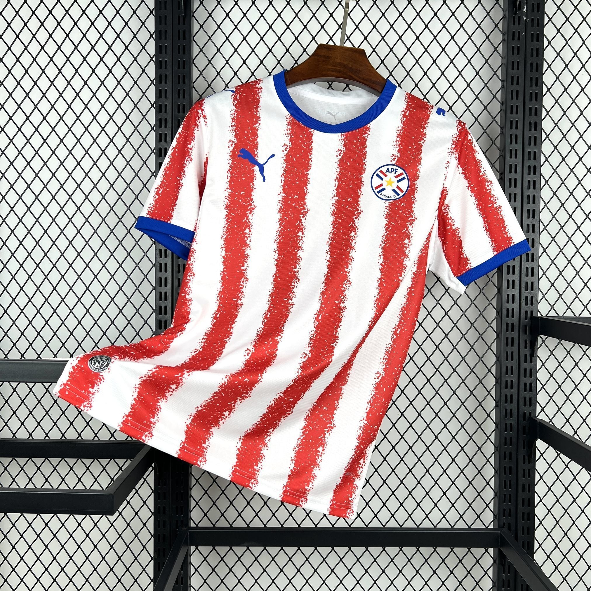 Paraguay 2026 Home - Fan Version
