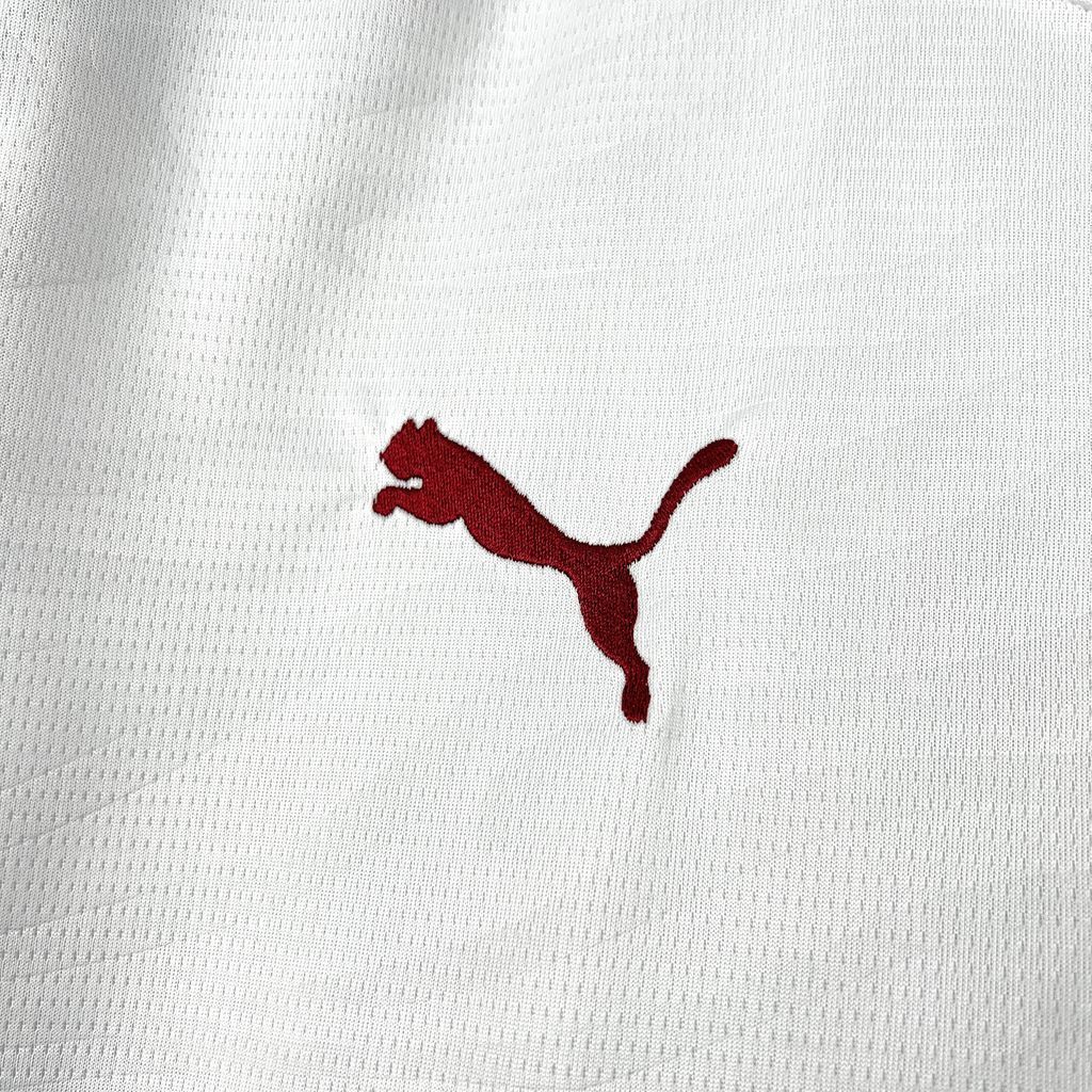 Fluminense 2025/26 Away - Fan Version