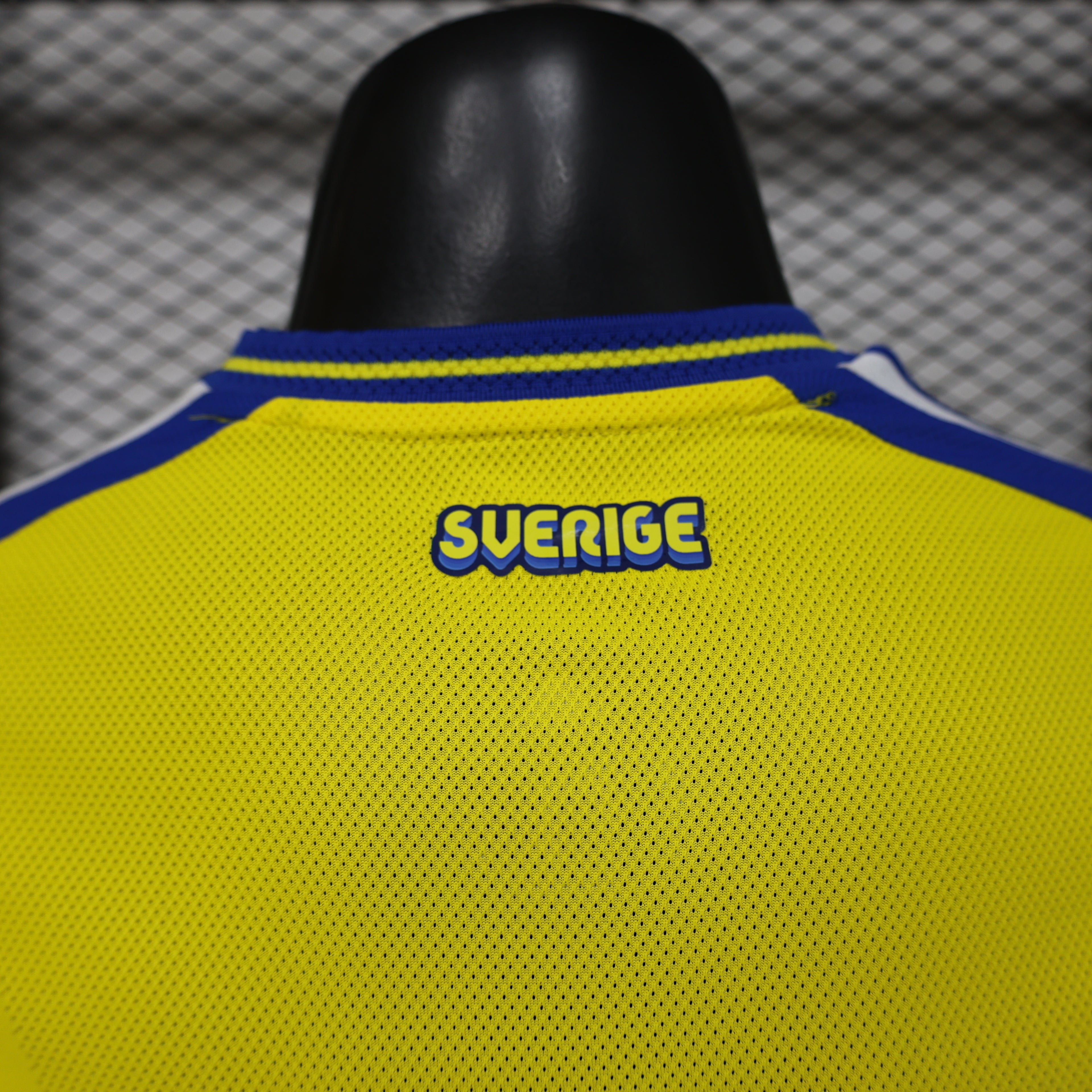 Sweden 2026 Home - Player Version