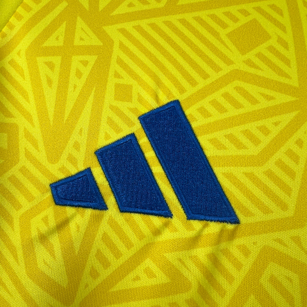 Ukraine 2026 Home - Fan Version