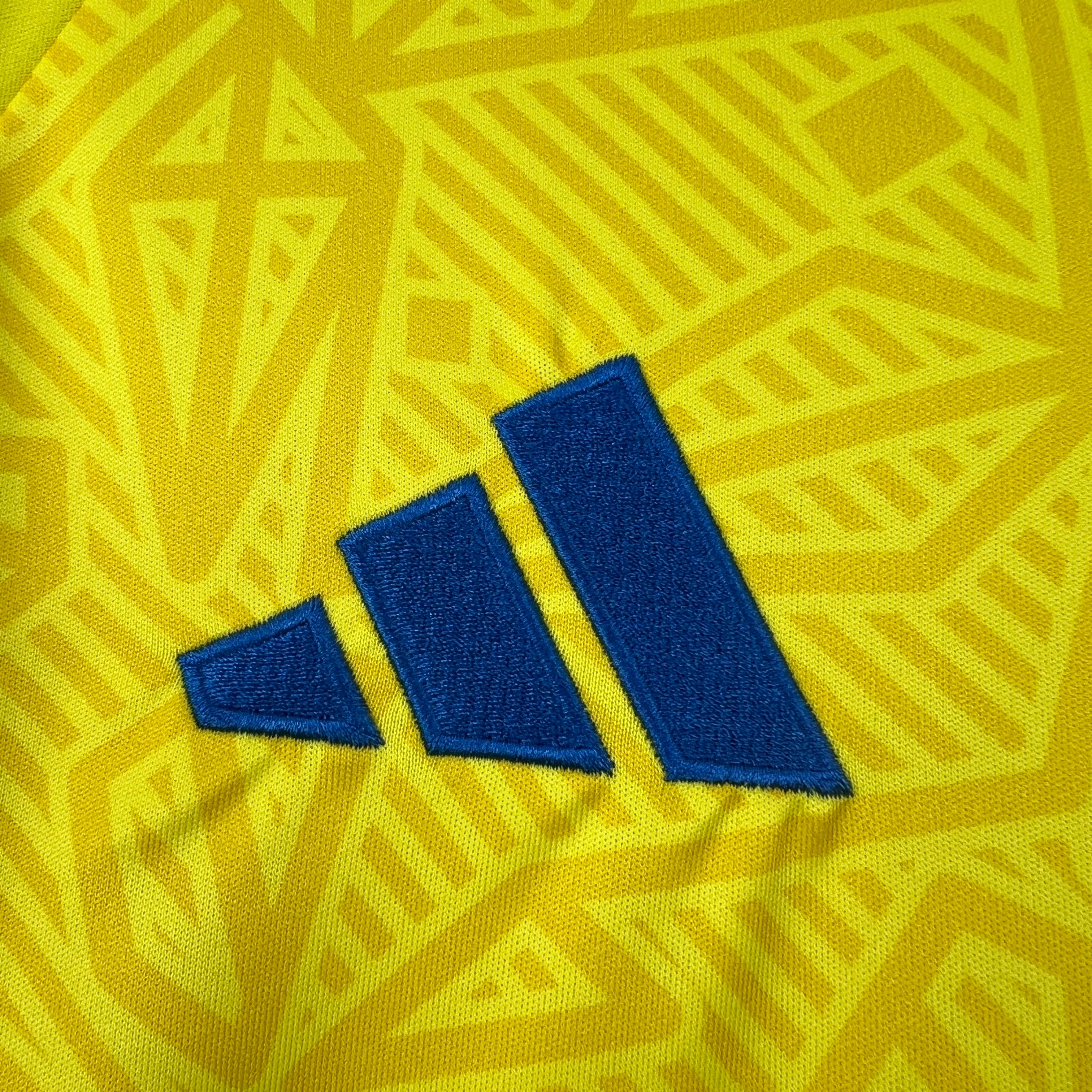 Ukraine 2026 Home - Fan Version