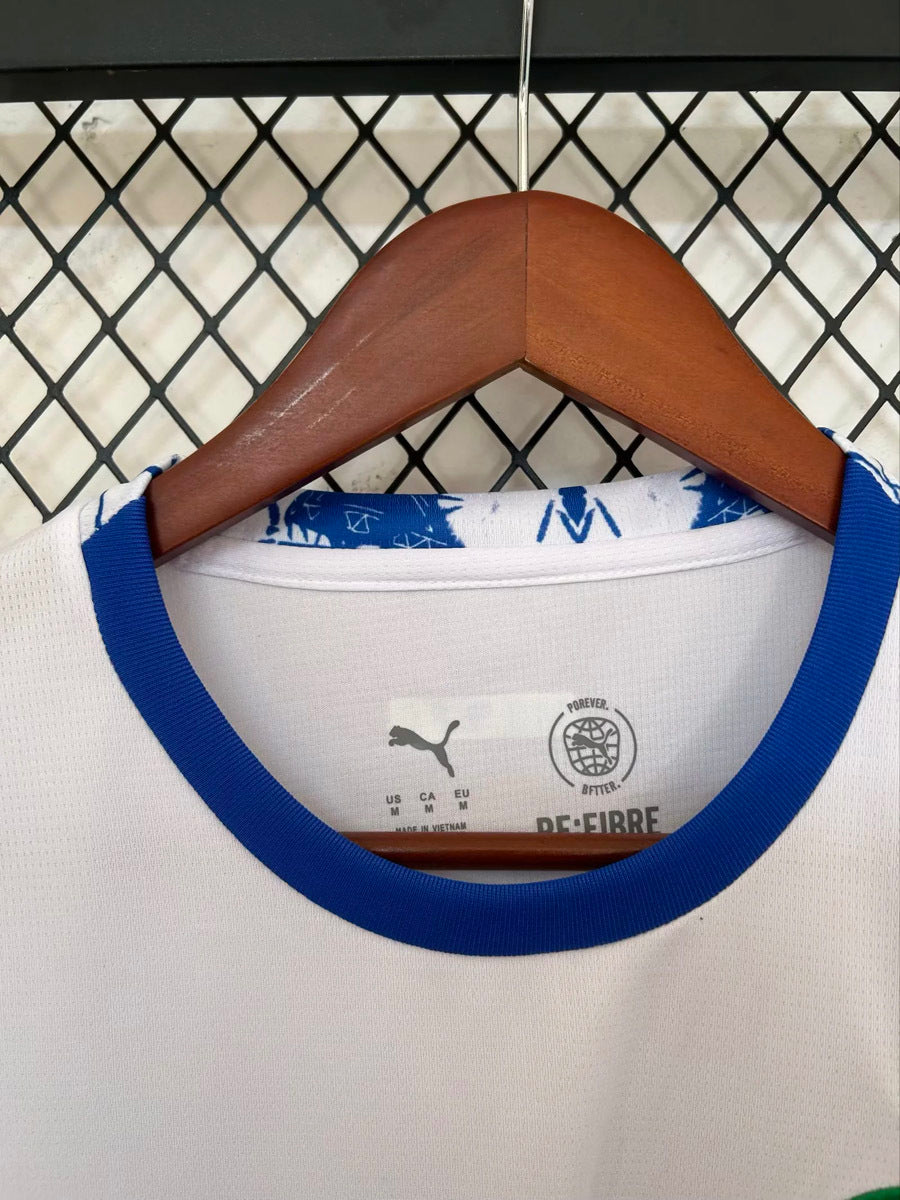 Mamelodi Sundowns 2025/26 Away - Fan Version