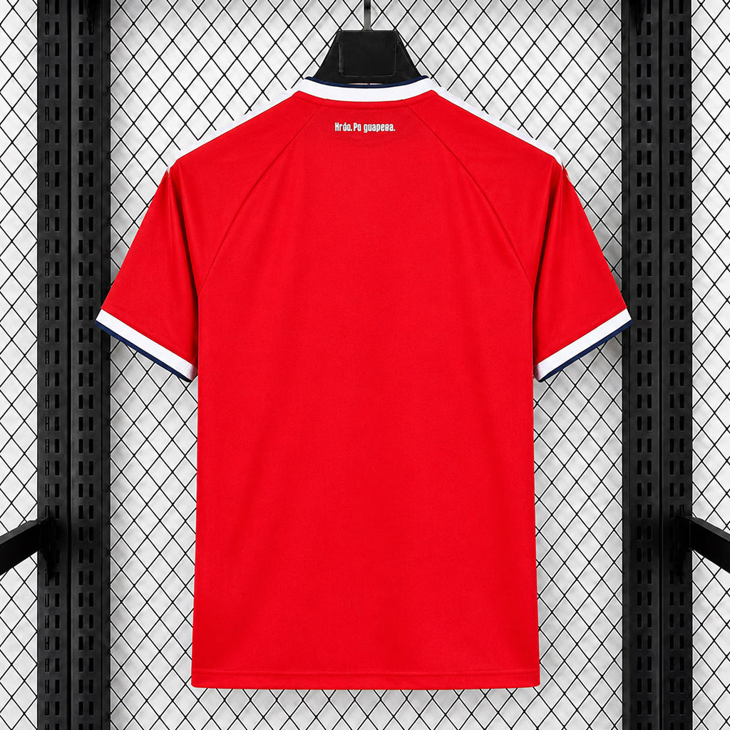 Czechia 2026/27 Home - Fan Version