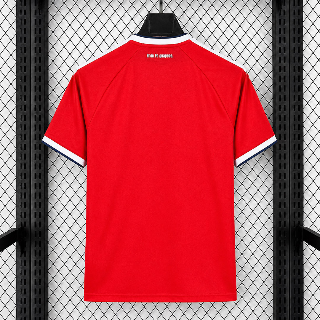 Czechia 2026/27 Home - Fan Version