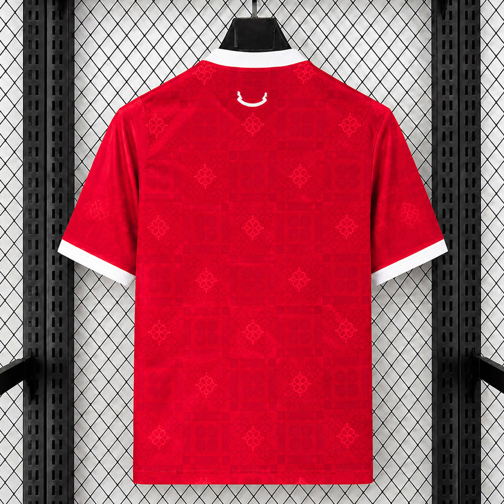 Wales 2026/27 Home - Fan Version