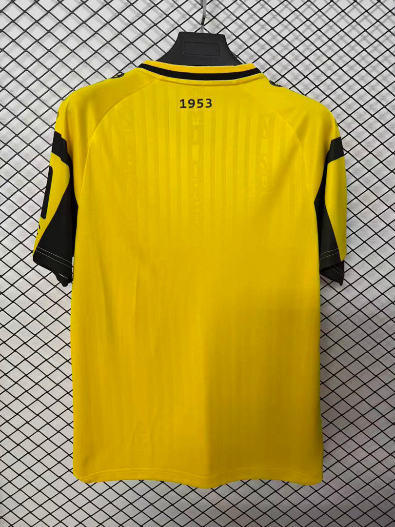 Dynamo Dresden 2026/27 Home - Fan Version