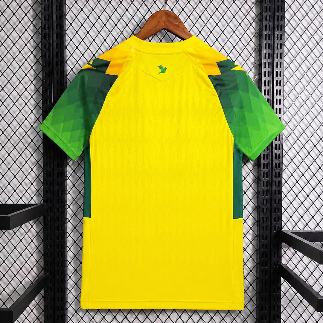 Nantes 2026/27 Home - Fan Version
