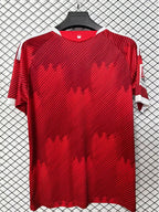 Nürnberg 2026/27 Home - Fan Version