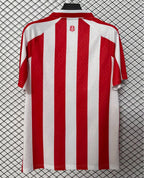 Sunderland 2026/27 Home - Fan Version