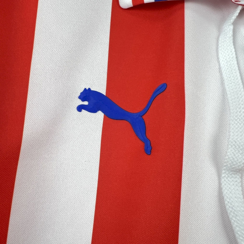 Retro soccer jersey front close-up of blue Puma logo on red-and-white stripes.