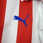 Chivas de Guadalajara 2016/17 110th Anniversary - Retro