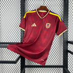 Venezuela 2026 Home - Fan Version