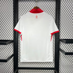 Poland 2024 Home - Fan Version