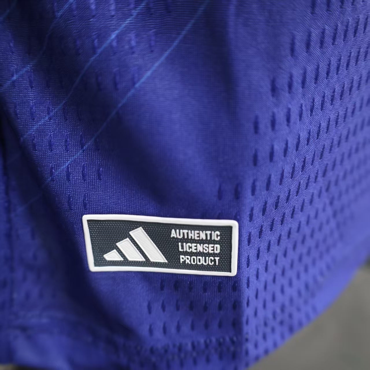 Japan 2026 Home Long Sleeve - Player Version