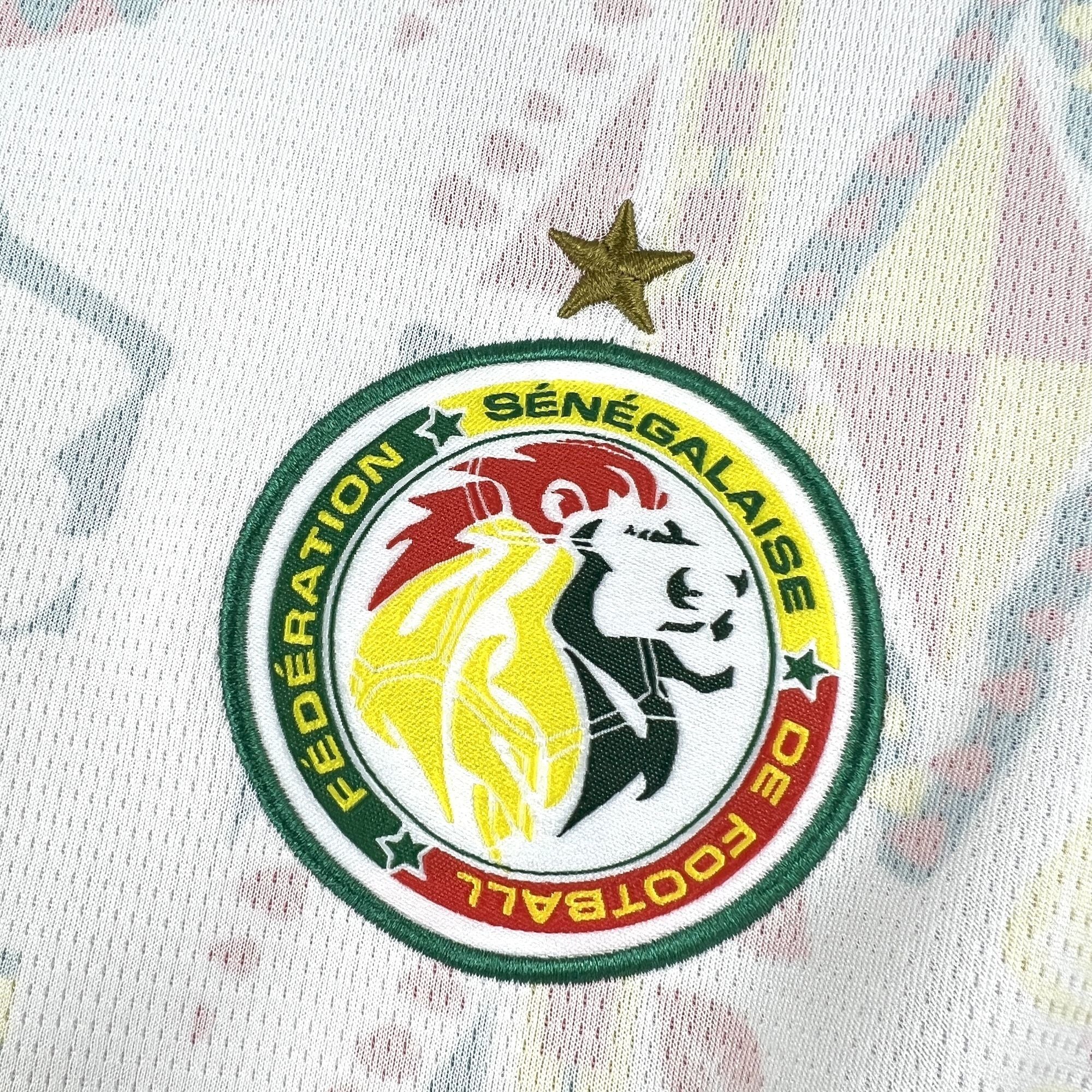Senegal 2026 Home - Fan Version