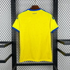 Ukraine 2026 Home - Fan Version
