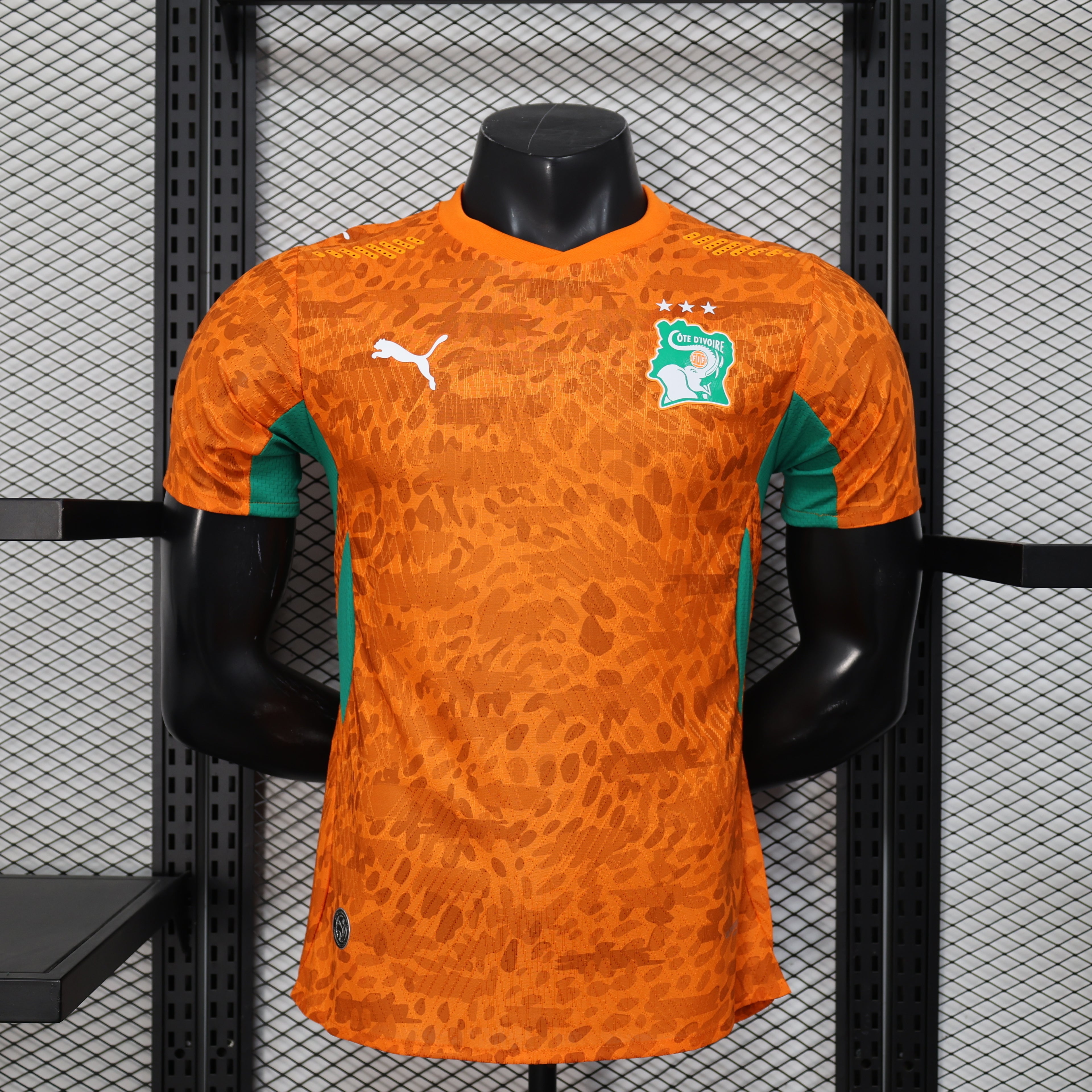 Ivory Coast 2026 Home - Player Version