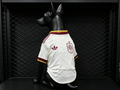 Spain 2026 Away - Dog Kit