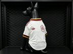 Spain 2026 Away - Dog Kit