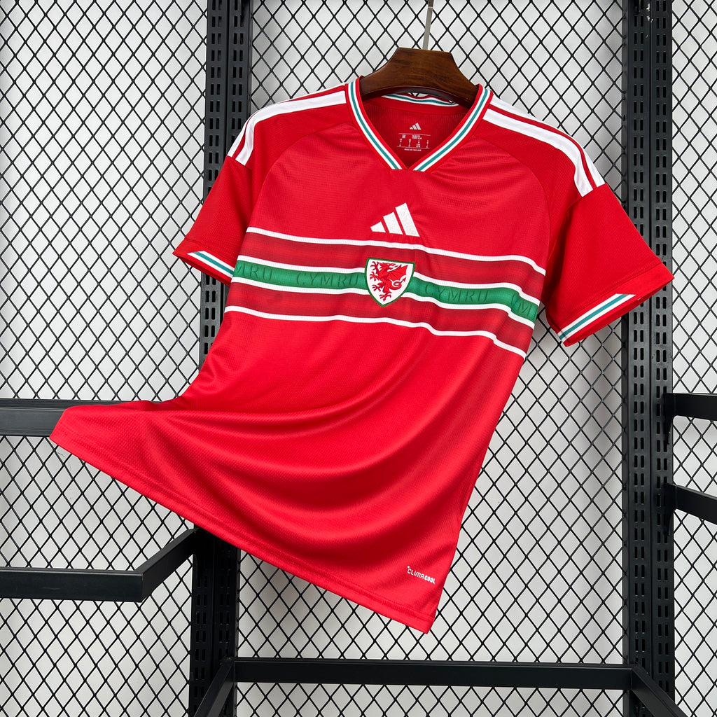 Wales 2026 Home - Fan Version