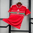 Wales 2026 Home - Fan Version
