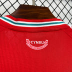 Wales 2026 Home - Fan Version